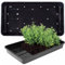 STORM TRADING GROUP Plastic Heavy Duty Seed Trays With Strong Rim For Extra Rigidity Seedling Growing Garden Greenhouse Germination Trays (12)