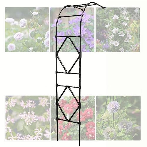 EMENAR Kletterpflanzen Rankbogen Garten Halbbogen 2.4m, Wetterfeste Halbseitiger Pergola Rankgitter, Rosenbogen Im Freien Für Kletterpflanze, Schwarz/Weiß (Color : White, Size : 180x240x40cm)