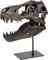 JOTNBOBO Dinosaurier-Schädel-Statue, Dinosaurier-Skulpturen Halterung Tyrannosaurus Schädel Replik Dekoration Schädel Knochen Harz Replik mit Halterung für Home Office Decor Regal Display