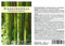 Seedeo® Riesenbambus (Dendrocalamus gigantea) 60 Samen