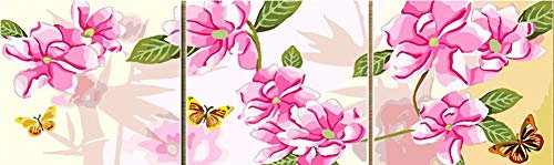 Woldor DIY Lot de 3 tableaux triptyque XXL Motif fleurs de pêche Rose 40 x 40 cm x 3