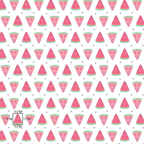 11,99€/m 100x160cm Frucht Früchte Zitrus Obst 100% Baumwolle Baumwollstoff Kinder Meterware Handwerken Nähen Stoff (Melone Gesicht, 100x160cm (11,99€/m))