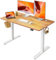 FEZIBO Schreibtisch Höhenverstellbar Elektrisch, 120 x 60 cm Steh-Sitz Tisch, Verstellbarer Stehpult mit Memory-Steuerung, Ergonomischer Computertisch Homeoffice, Hellbraun