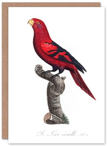 Artery8 Francois Levaillant Art Card The Violet Necked Lory Parrot