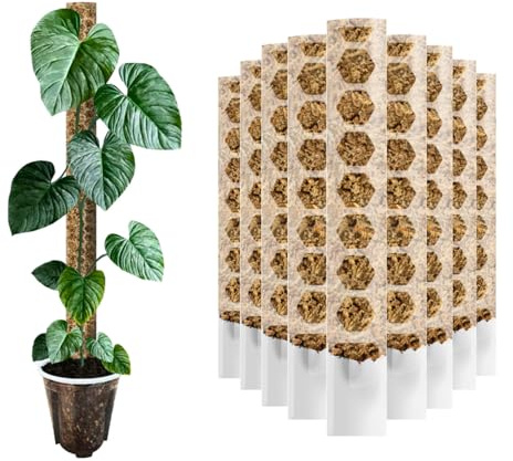 Nils der Pflanzenfreund® Moosstab 20 cm (XS) 3 Stück, Matt – Moss Pole, erweiterbare Rankhilfe für Monstera & Kletterpflanzen, Pflanzenstab für Indoor Pflanzen