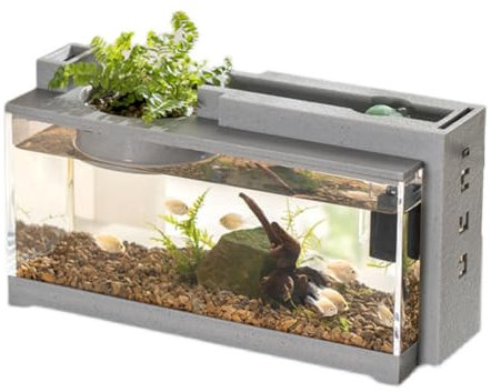 Zstar Fischtank Aquarium mit Wasserpumpe, Leises Mini Aquarium Starter Kits, Mikro Landschafts Schreibtisch Aquarium Komplettset für Büro Desktop Dekoration