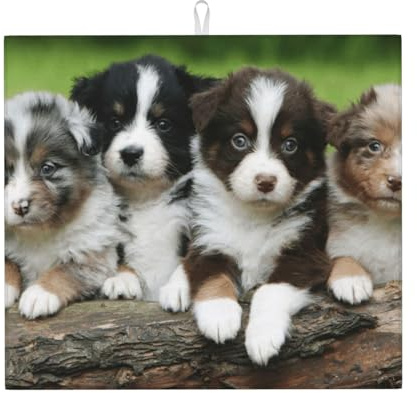 Australian Shepherd Welpen-Quartett Ultra Wasserabsorbierende Küchen-Trockenmatte