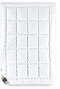 sei Design Premium Bettdecke 155x220 Steppdecke SWAN de Luxe mit daunenähnlicher Füllstruktur – Winter – Bezug 100% Baumwolle | leichte Decke mit hoher Wärmehaltung