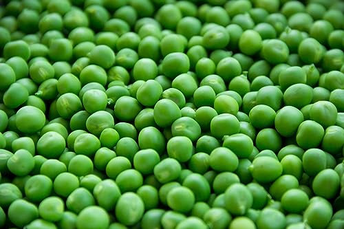 100g Kelvedon Wonder Pea Seeds in Handy Pouch Popular Peas Early Maturing