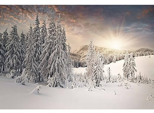 Ttincceer Hiver Neige Paysage Photographie Toile de Fond 350x250cm Hiver forêt Neige Paysage Fond pin forêt congelé Bois Mur décor Photographie Fond