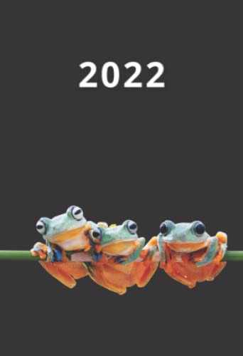 Taschenkalender 2022 A6: 1 Woche auf 2 Seiten, Mini Tagesplaner und Wochenkalender mit praktischer Jahresübersicht im Frosch Design (Mini Wochenplaner)