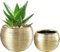 pdodo Gold Blumentopf Keramik, Dekorierten Übertopf, Blumentöpfe für den Innenbereich für Sukkulentenn,Runde Orchideen-Blumentöpfe, Blumentöpfe für Schlangenpflanzen, Kräuter im Innenbereich