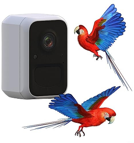 Smart Bird Feeder, Outdoor Echtzeitüberwachung Vogelfutterstation mit Kamera, Vogelhauskamera zur Aufnahme von Vogelvideos und Bewegungen