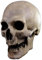Alter Knochenschädel - Maske des Grauens aus Latex - Erwachsenen Horror Halloween Kostüm Vollmaske - ideal auch für Karneval, Motto- & Grusel-Party