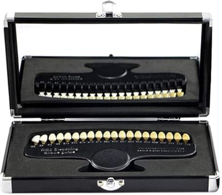 Guida tonalità dei denti Guida tonalità dentale a 20 colori con specchio Strumenti per dentisti per lo sbiancamento dei denti per il monitoraggio del dentista, Decorazione del giardino