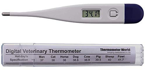 Digitales Tier-Thermometer für Haustierbesitzer von Hunden, Katzen, Pferden, Tieren, mit kostenloser Veterinary Hobday's Spec Chart