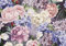 Forwall Fototapete Blumen 3D Pfingstrosen Rosen Romantik Moderne Wohnzimmer Schlafzimmer Vlies Tapete Wandtapete UV-Beständig Hohe Auflösung Montagefertig (13515, V8 (368x254 cm) 4 Bahnen)