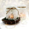 Feenlicht Feenwindlicht DIY Weihnachtsdeko Weihnachten Rehe Elfen Sterne Schneeflocken Lichtdeko Winter Aufkleber Glas Sticker wl1 ilka parey wandtattoo-welt®