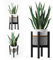 LA CASITA DE AMARA - Conjunto Macetero Textil + Soporte Plantas Bambú para Plantas Artificiales Decorativas o Plantas Naturales Interior. Macetero con Pie para Decoracion Hogar en color Negro
