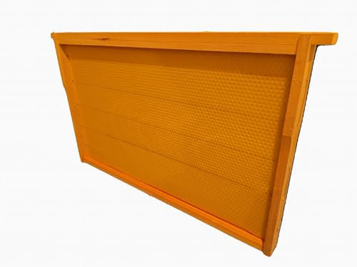 12 Stück Rähmchen Dadant US Brutraum inkl. Mittelwand fertig eingebaut - DN - Bienenbedarf - Imkerbedarf - Wachs - Honig, 482 x 285 mm
