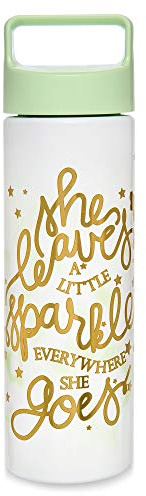 Disney Tinker Bell Stainless Steel Water Bottle