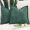 Madizz 2er Set Chenille Samt mit Rand Kissenbezüge Weiche Dekorativ Zierkissenbezüge Modern Kissenhülle für Sofa Wohnzimmer Schlafzimmer Dunkelgrün 60x60 cm
