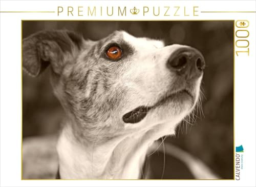 CALVENDO Puzzle EIN Motiv aus dem Kalender Galgo Eye-Catcher | 1000 Teile Lege-Größe 64 x 48 cm Foto-Puzzle für glückliche Stunden