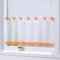 Joyswahl Bistrogardine Voile Schlaufen Scheibengardine Mia Küchen Transparenter Vorhang HxB 60x120cm Orange 1er Pack