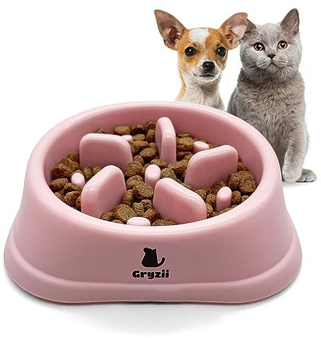 Gamelle Anti Glouton Chat & Petit Chien | Animaux de Petite Taille, Alimentation Lente et Saine, Favorise la Digestion de l'animal, Anti Vomissements, Design avec Pieds Antidérapants (Petit, Rose)