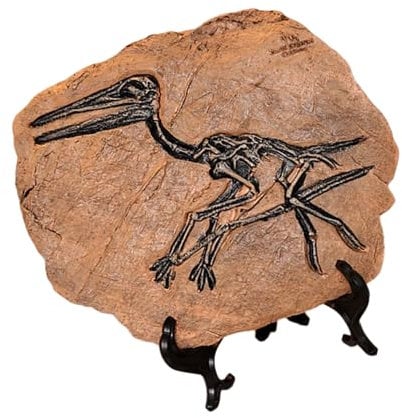 REITINGE Harze Dinosaurier-Skelett-Fossilien-Statue, Skulptur, Sammlerstück, Ornament, Zuhause, Büro, Desktop-Display