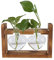 Qcwwy Pflanzenterrarium mit Holzständer, Herzförmige Transparente Glasvase, Blumentopf, Hydrokultur-Pflanzenvermehrungsstation für Hydrokulturpflanzen, Heim- und Bürodekoration