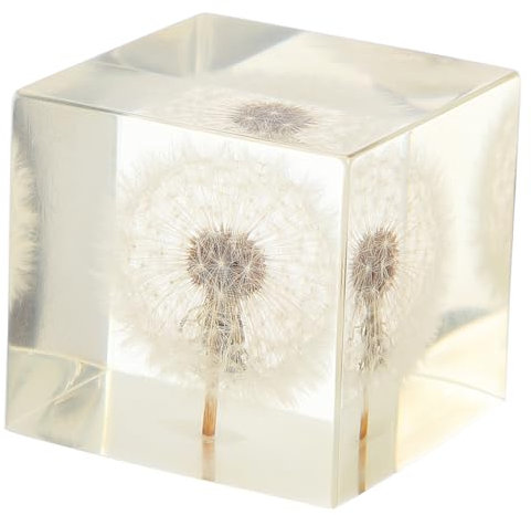 VICASKY Tarassaco per Decorazione da Scrivania e Ufficio Atmosfera e Festiva Souvenir Turistici e Idee per Ogni Occasione