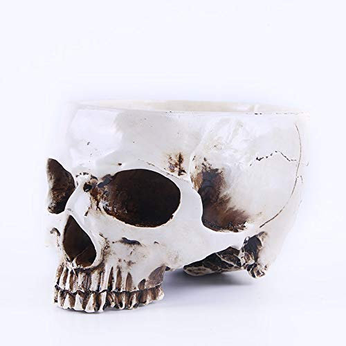 AIKENR Halloween-Totenkopf, Bonbonschale, Blumentopf, Schale, Statue, Skulptur, Skelett, 16,4 cm, aus Kunstharz geschnitzt