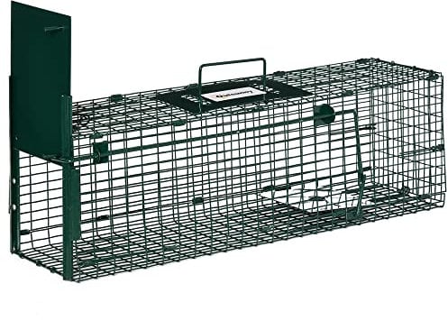 Outsunny Trampa para Animales Vivos con Puerta Jaula de Captura Metálica con Asa para Conejos Visones Pequeños 60x18x20 cm Verde Oscuro