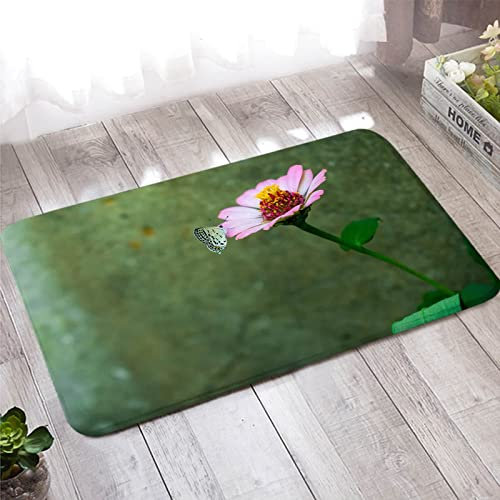 Paillasson Extérieur Fun, Tapis D Entree Interieur Vintage Zinnia Rose et Motif Papillon 60X180cm pour la Cuisine de la Salle de Bain