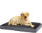 XDREAM orthopädisches Comfort Hundebett | Flauschiges Hundekissen|mit weichen Schaumstoffstäbchen zur Gelenkschonung | Bezug waschbar | Öko-Tex Zertifiziert | Höhe 8 cm | 60 x 43cm | Grau