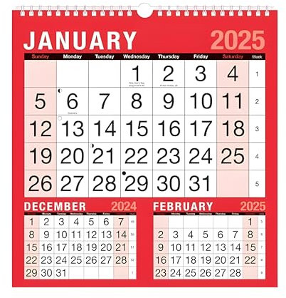 ZYBUX - 2024 Kalender, Planer & Personal Organizer, Wandplaner, Feiertage und wichtige Termine, Wandplaner Spiralbindung für Zuhause, Büro, Schule (3 Monate Planer)