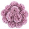 Tifuly Künstliche Hortensie Blumen, 11 Zoll Seide Pompon Chrysantheme Kugel Blumen für Hausgarten Party Büro Dekoration, Braut Hochzeitssträuße, Blumenschmuck, Mittelstücke (Rosa Lila-12 Stück)