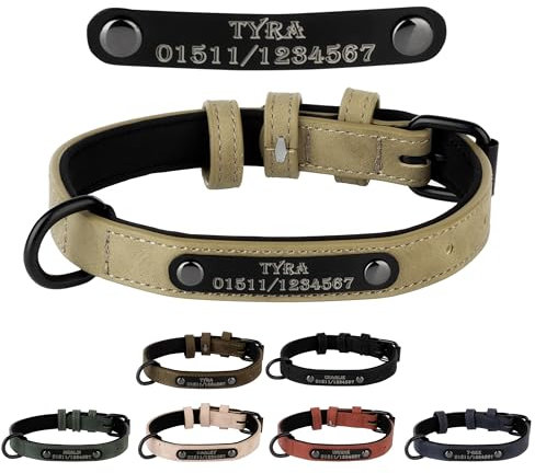 Jacks O Be Hundehalsband Halsband Name Gravur personalisiert Haustier Hund Katze Leder (Hell Braun, M)