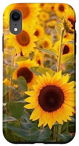 Sunflower Case for iPhone XR