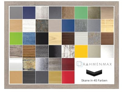 RahmenMax Skane Bilderrahmen Posterrahmen Puzzlerahmen 42x59,5 cm Apfel Apfelbaum Dekor 59,5x42 cm mit weisser Rückwand und Antireflex Acrylglas