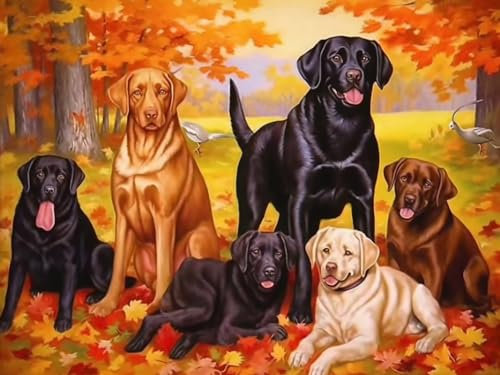 Reofrey DIY 5D Diamond Painting Zubehör Kit HundBohren Voll Stickerei Strass Diamant Malerei Set, Tier Diamond Painting Kunsthandwerks-Zubehör Gemälde Wanddekoration 30x40 cm