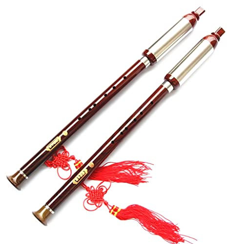 TsoLay Anfängerflöte, Palisanderimitat, ABS-Kunstharz, Bawu-Flöte, chinesische vertikale Flöte, Anfängerflöte, handgefertigte Volksmusikinstrument, Flöten für Kinder, Musikinstrument