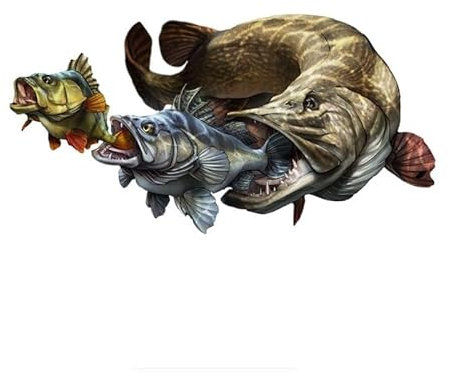 AeRko Persönlichkeit Große Fische essen kleine Fische Kunst Auto Aufkleber Auto Aufkleber Rennrad Aufkleber Auto Aufkleber Zubehör (Größe : 30 cm)