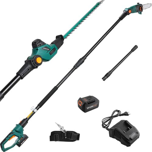 2 in 1 Combo Set, 24cm Potatore Elettrico, 45cm Tagliasiepi Telescopico a Batteria, Batteria 20V 4Ah e Caricabatterie, Testa Inclinabile, incl. Tracolla Regolabile, Fino a 4M