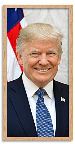Artery8 Craighead Portrait US President Donald Trump Photo Framed Wall Art Print Long 25X12 Inch Porträt Präsident Fotografieren Wand