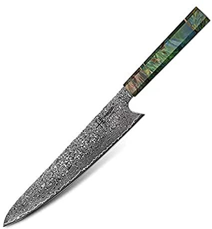 hajegato Damascus Chef Knife Gyuto Unique One of Kind Handle Professional 10 inch Japanese Chefs Kitchen Knife VG10, 67 Layers Damascus Steel Knive