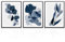 NymphFable Abstrakte Botanische Wanddekoration Poster Blaue Pflanze Drucke, Aquarell Blume Wand Poster für Schlafzimmer Wohnzimmer Dekor 12x16 im Satz von 3 ungerahmt