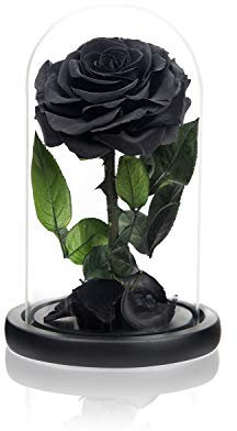 NATROSES Handgemachte konservierte Rosen in Glaskuppel, langlebige schwarze Rosen echt, Blumen für Frauen