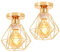 TOKIUS 2 Stücke Deckenlampen, 16CM Vintage Deckenleuchte im Industrial Design Retro Lampe aus Eisen Käfig E27 Fassung Pendelleuchte Deckenlampe für Flur Eingang (Gold)